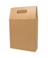 3 Bottles Carton Box (Quick Assembly)