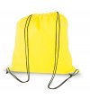 Non Woven Bag/ Back-Pack