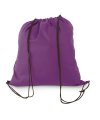 Non Woven Bag/ Back-Pack