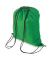 Polyester Bag/ Back-Pack Polyester Bag/ Back-Pack