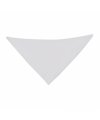 Triangular Pennant Triangular Pennant