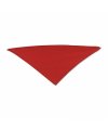 Triangular Pennant Triangular Pennant