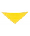Triangular Pennant Triangular Pennant