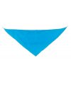 Triangular Pennant Triangular Pennant