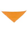 Triangular Pennant Triangular Pennant