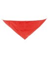 Triangular Pennant Triangular Pennant
