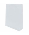 Pvc Gift Bag Pvc Gift Bag