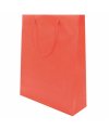 Pvc Gift Bag Pvc Gift Bag