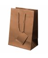 Plastified Gift Bag Plastified Gift Bag
