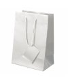 Plastified Gift Bag Plastified Gift Bag