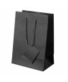 Plastified Gift Bag Plastified Gift Bag