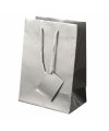 Plastified Gift Bag Plastified Gift Bag