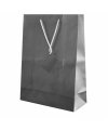 Plastified Gift Bag Plastified Gift Bag