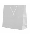 Plastified Gift Bag Plastified Gift Bag