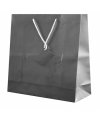 Plastified Gift Bag Plastified Gift Bag