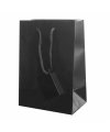 Plastified Gift Bag Plastified Gift Bag