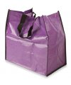 Shining Bag Shining Bag