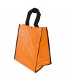 Shining Bag Shining Bag