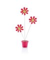 Flower photo holder Flower photo holder