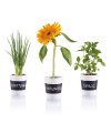 3 pcs herb garden