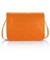 Non-woven document bag Non-woven document bag