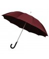 Umbrella Umbrella