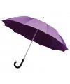 Umbrella Umbrella