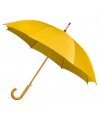Umbrella Umbrella