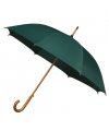 Umbrella Umbrella