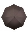 Umbrella Umbrella