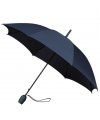 Tulip umbrella Tulip umbrella