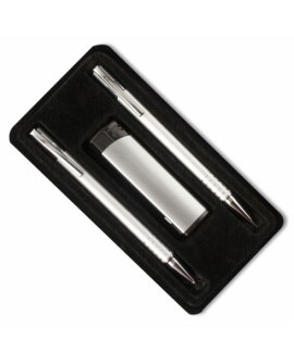 2 Pens  Lughter (Empty) Case