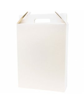 3 Bottles Carton Box (Quick Assembly) 3 Bottles Carton Box (Quick Assembly)