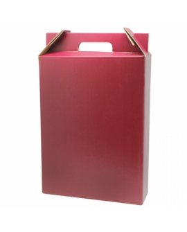 3 Bottles Carton Box (Quick Assembly) 3 Bottles Carton Box (Quick Assembly)