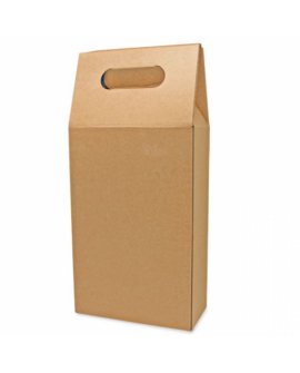 2 Bottles Carton Box (Quick Assembly)