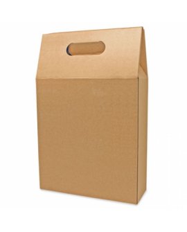 3 Bottles Carton Box (Quick Assembly) 3 Bottles Carton Box (Quick Assembly)