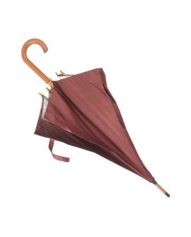 "Walk" Umbrella