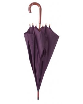 Wooden Handle "Walk" Umbrella Wooden Handle "Walk" Umbrella