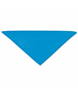 Triangular Pennant Triangular Pennant