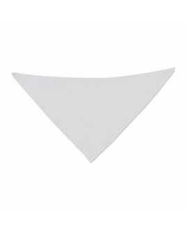 Triangular Pennant Triangular Pennant