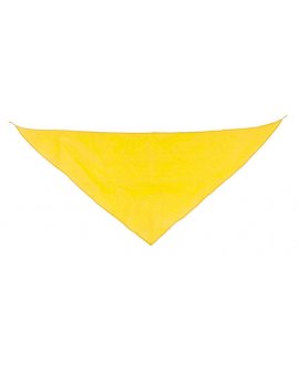 Triangular Pennant Triangular Pennant