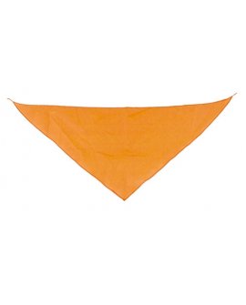 Triangular Pennant Triangular Pennant