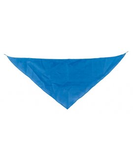 Triangular Pennant Triangular Pennant