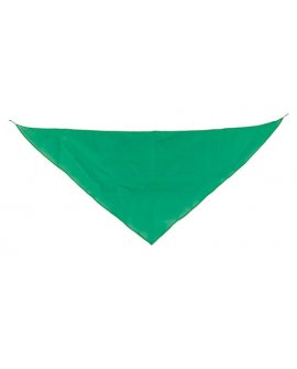 Triangular Pennant Triangular Pennant