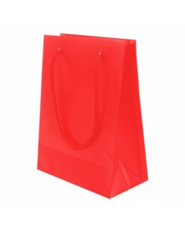 Pvc Gift Bag Pvc Gift Bag