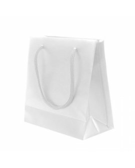 Pvc Gift Bag Pvc Gift Bag
