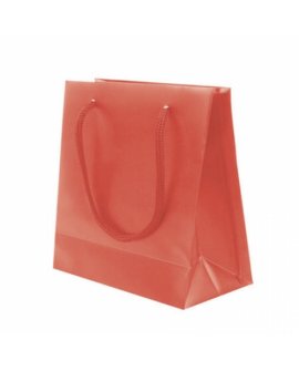Pvc Gift Bag Pvc Gift Bag
