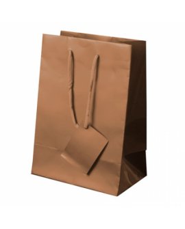 Plastified Gift Bag Plastified Gift Bag