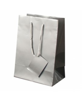 Plastified Gift Bag Plastified Gift Bag