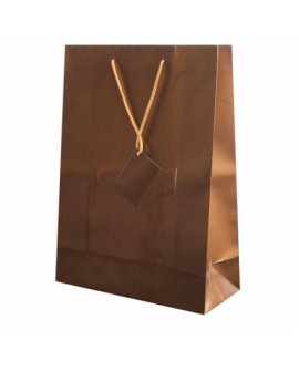 Plastified Gift Bag Plastified Gift Bag